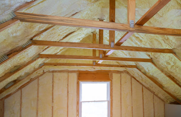 Best Insulation Contractors for Homes  in Des Plaines, IL