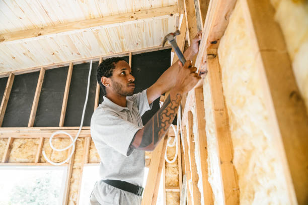 Best Residential Insulation Services  in Des Plaines, IL